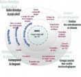 L'instrumentation sociale & technique des ressources des organisations